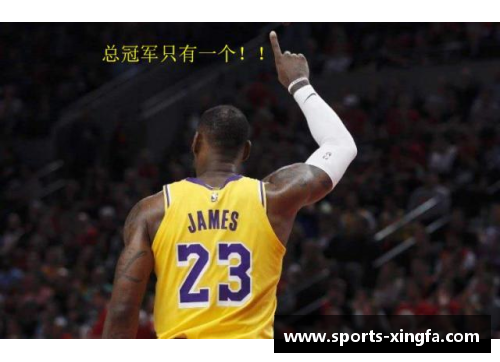 探索洛杉矶湖人队球员阵容：新季挑战与机遇