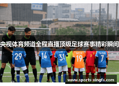央视体育频道全程直播顶级足球赛事精彩瞬间