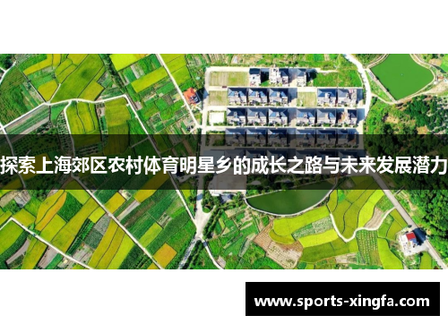 探索上海郊区农村体育明星乡的成长之路与未来发展潜力